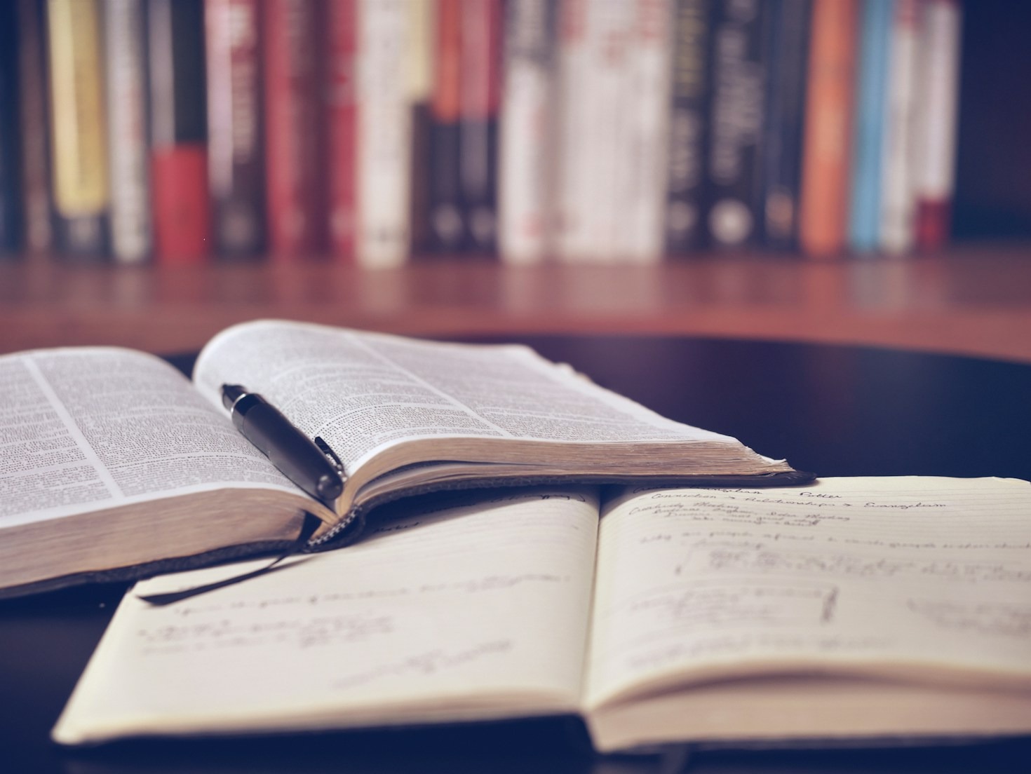 Reflections on Wisdom: Insights From Our Community